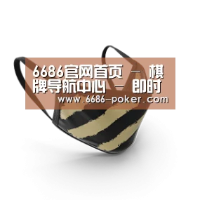 成人布口罩