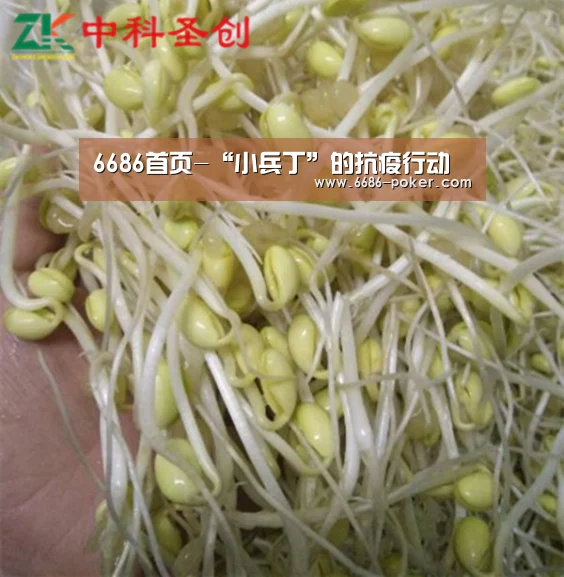 6686首页