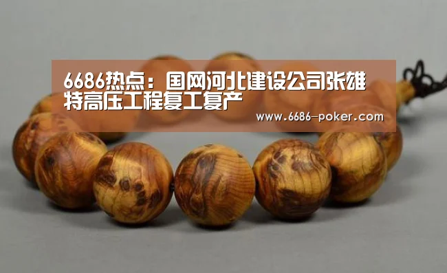 6686热点:国网河北建设公司张雄特高压工程复工复产(图1) 6686热点
