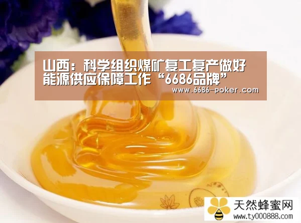 山西:科学组织煤矿复工复产做好能源供应保障工作“6686品牌”(图1) 6686热点