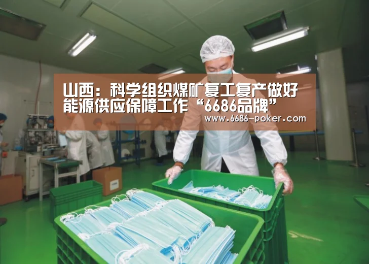 山西:科学组织煤矿复工复产做好能源供应保障工作“6686品牌”(图3) 6686首页