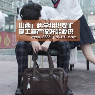 山西:科学组织煤矿复工复产做好能源供应保障工作“6686品牌”(图2) 6686品牌
