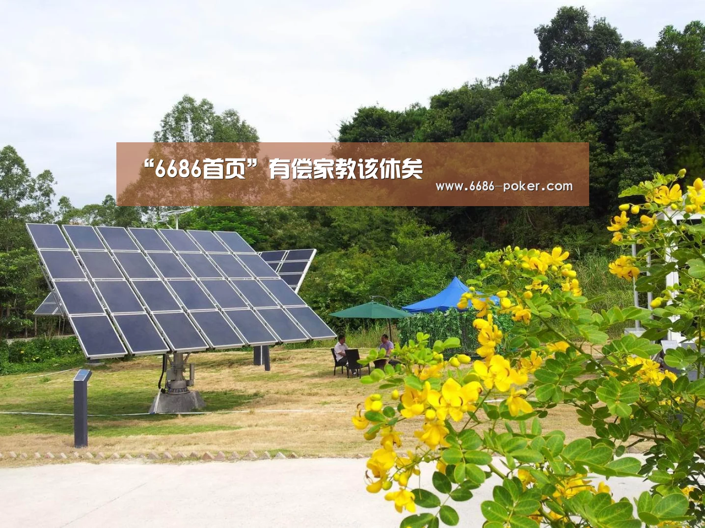 “6686首页”有偿家教该休矣(图1) 6686热点