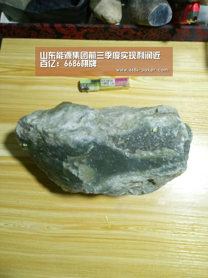 山东能源集团前三季度实现利润近百亿:6686棋牌(图1) 6686首页