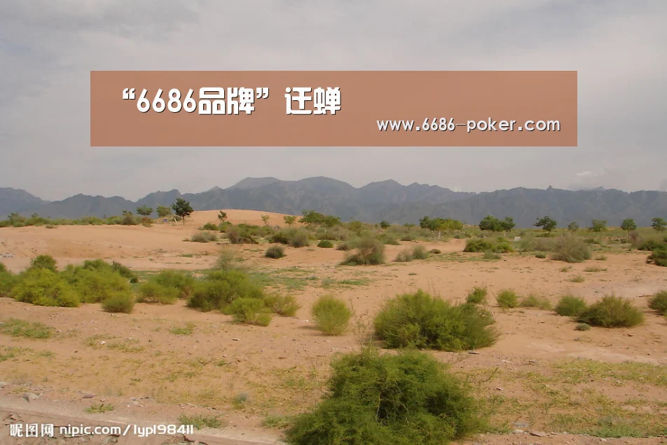 “6686品牌”迁蝉(图2) 6686首页