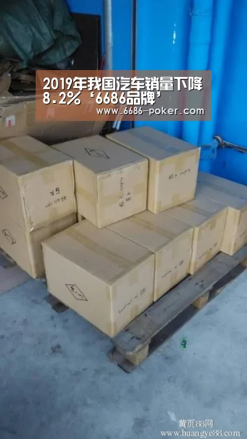 6686品牌