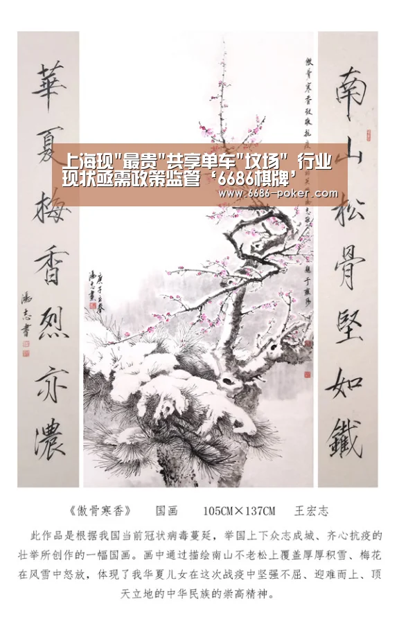 上海现最贵共享单车坟场 行业现状亟需政策监管‘6686棋牌’(图1) 6686棋牌