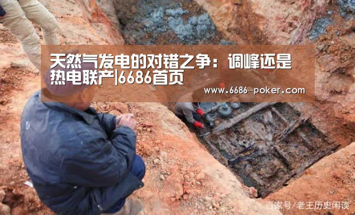 天然气发电的对错之争:调峰还是热电联产|6686首页(图2) 6686热点