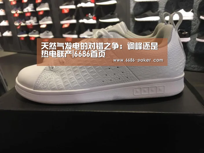 天然气发电的对错之争:调峰还是热电联产|6686首页(图1) 6686品牌