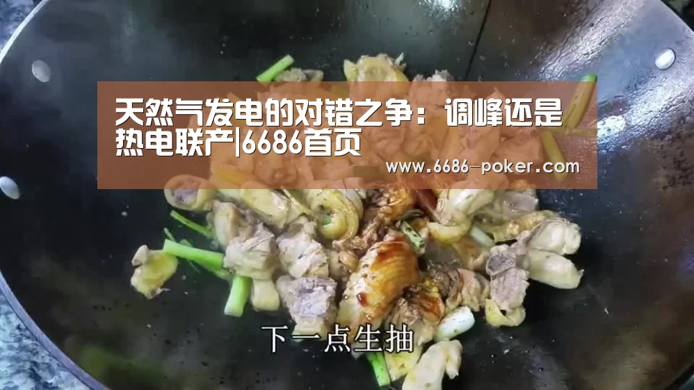 天然气发电的对错之争:调峰还是热电联产|6686首页(图3) 6686棋牌